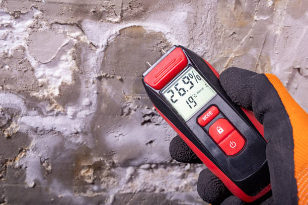 Reliable St Charles, MI Mold Removal Solutions