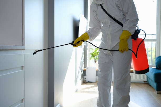 Best Mold Testing  in St Charles, MI
