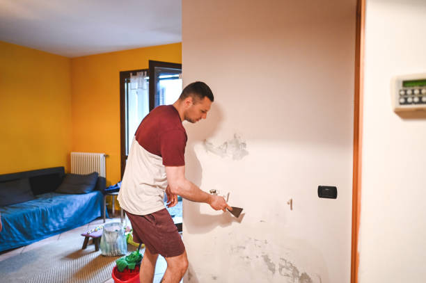 Best Residential Mold Removal  in St Charles, MI